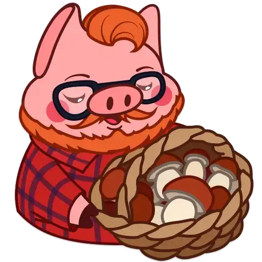 Cerditos Pig💞1🇵🇪Clásica 16