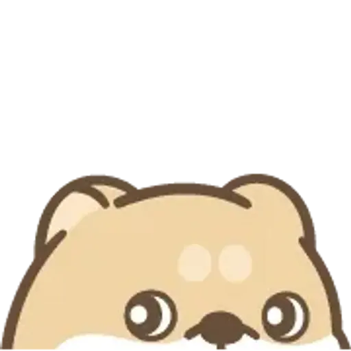 dog 🐶 mov 16