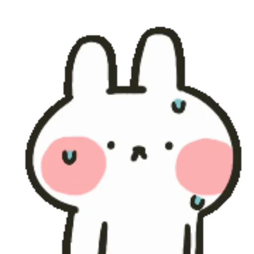 Hello rabbits! 🐇 MOV 6