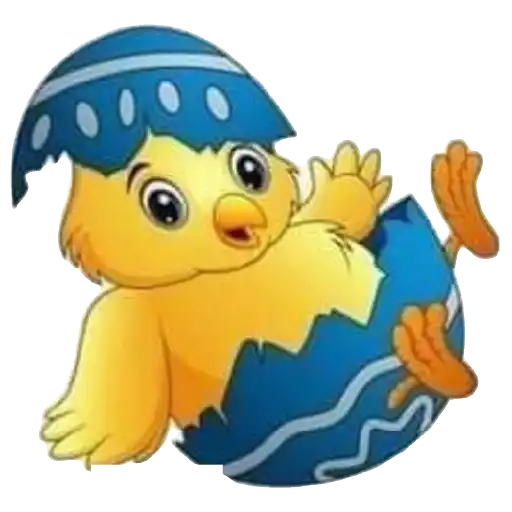Pollitos bebés💞1🇵🇪Clásica 21