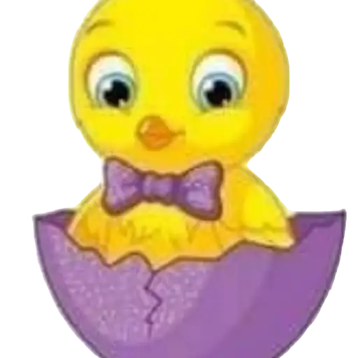 Pollitos bebés💞1🇵🇪Clásica 6