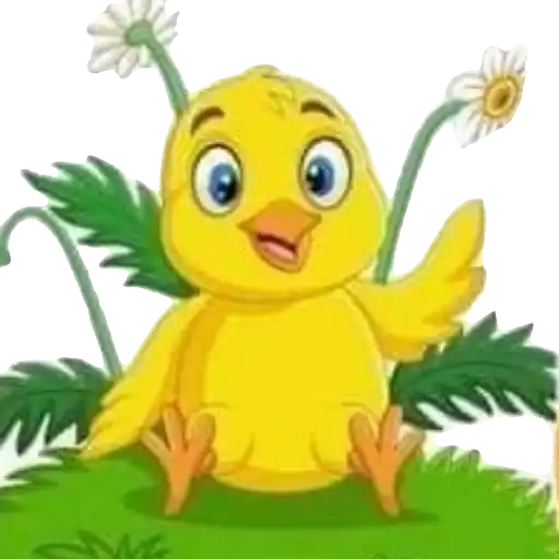 Pollitos bebés💞1🇵🇪Clásica 4