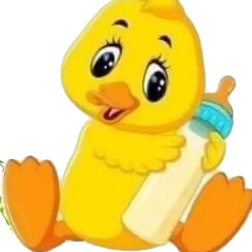 Pollitos bebés💞1🇵🇪Clásica 28