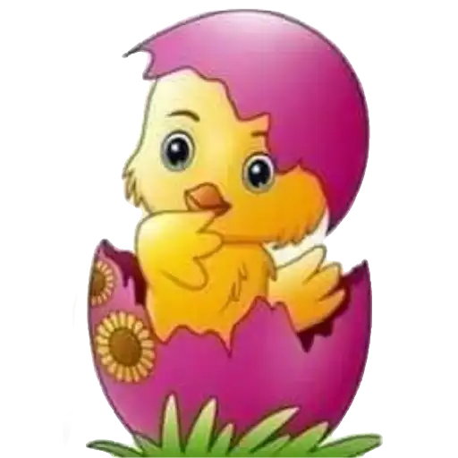Pollitos bebés💞1🇵🇪Clásica 15