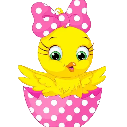 Pollitos bebés💞1🇵🇪Clásica 22