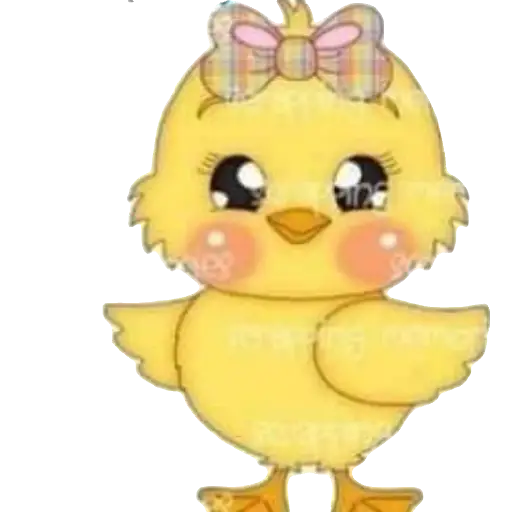 Pollitos bebés💞1🇵🇪Clásica 11