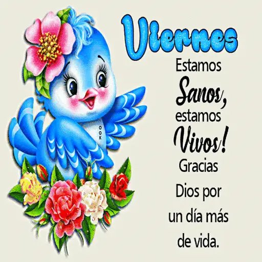 SALUDA TODOS LOS DIAS 21