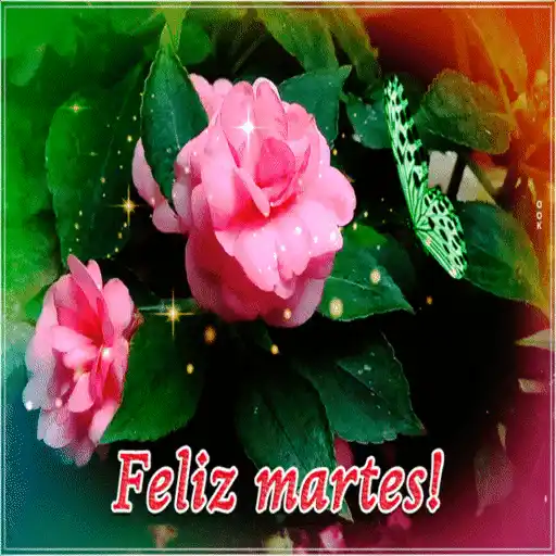 SALUDA TODOS LOS DIAS 15