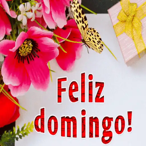 SALUDA TODOS LOS DIAS 27