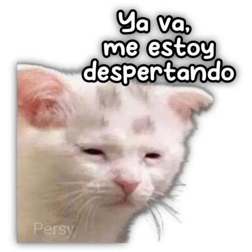 Persy Ya va, me estoy despertando