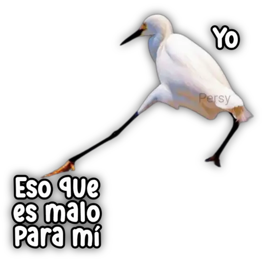 Esó que es malo Para mí Yo Persy