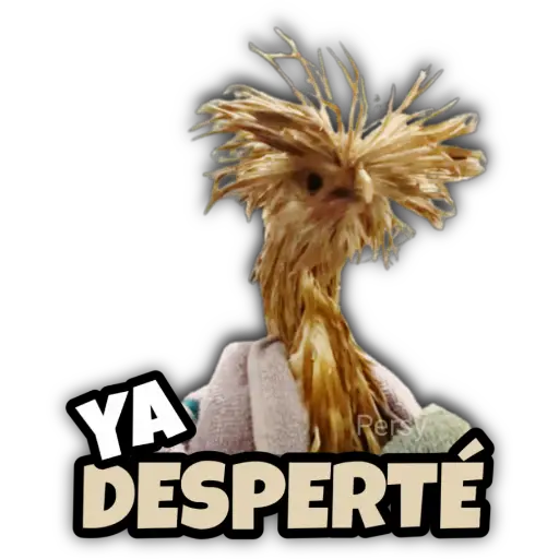 YA Persya DESPERTÉ