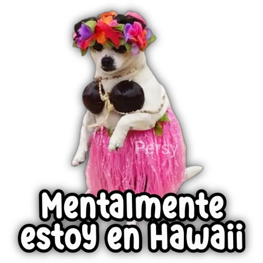 Persy Mentalmente estoy en Hawaii