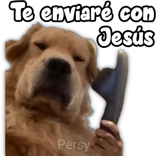 Te enviaré con Jesús Persy