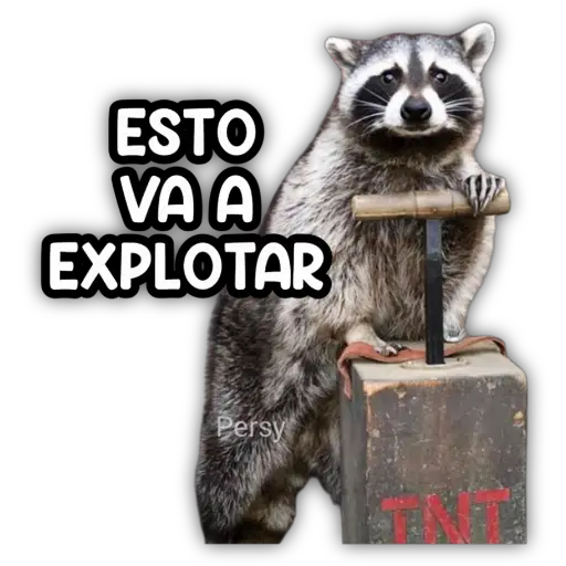 ESTO VA A EXPLOTAR Persy
