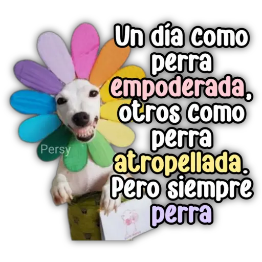 Persy Un día como perra empoderada, otros como perra atropellada. Pero siempre perra