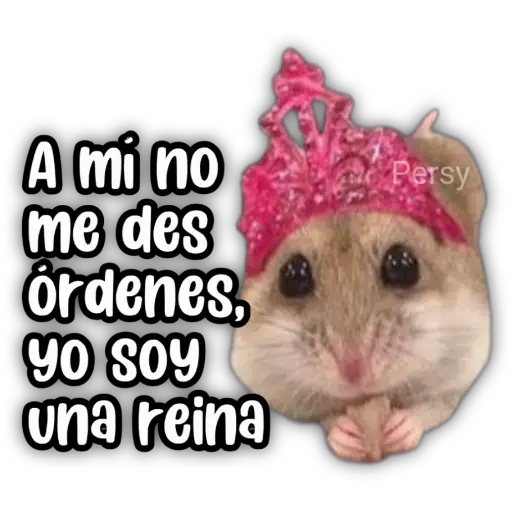 A mi no me des órdenes, YO SOY una reina Persy