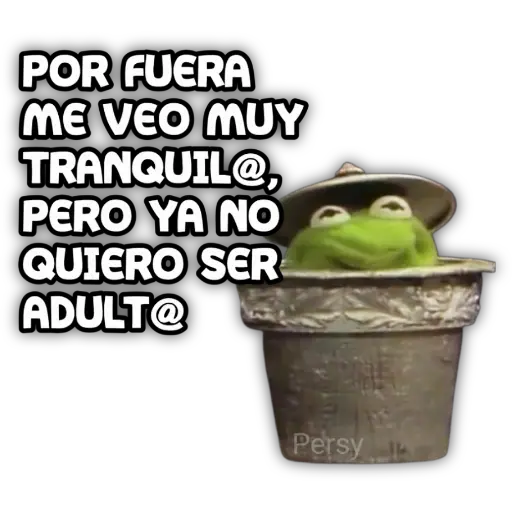 POR FUERA ME VEO MUY TRANQUIL@, PERO YA NO QUIERO SER ADULT@ Persy