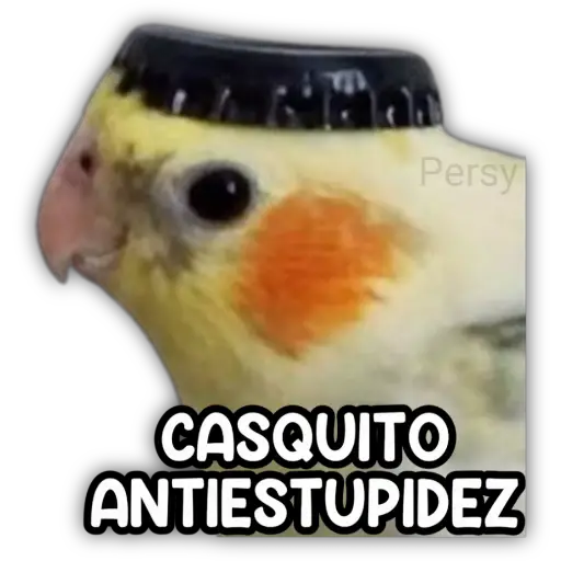 Persy CASQUITO ANTIESTUPIDEZ