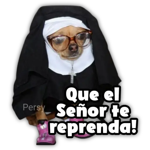 Que el Persy Señor te reprenda!