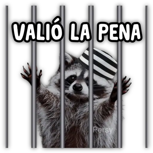 VALIO LA PENA Persy