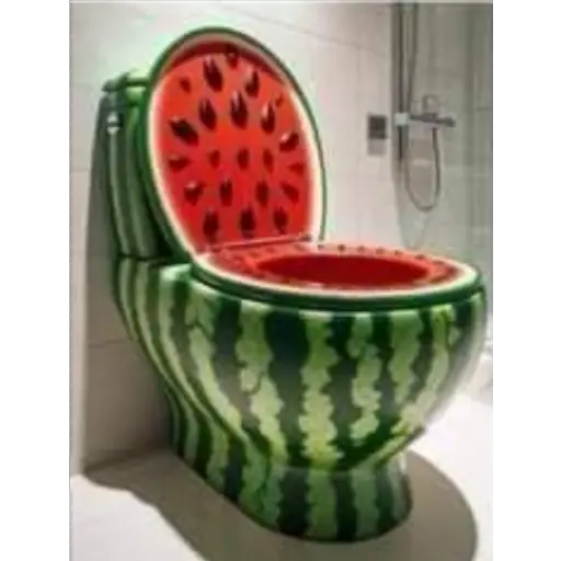 Stylish toilet 12