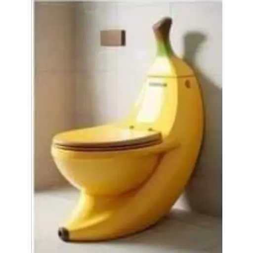 Stylish toilet 3