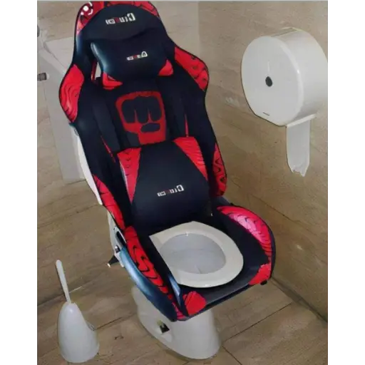 Stylish toilet 6