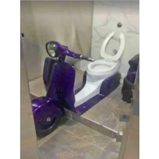 Stylish toilet 11