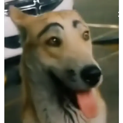 Stylish toilet 18