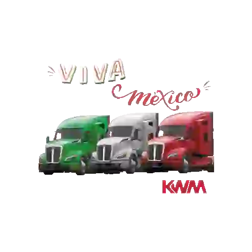Viva México Mov 18