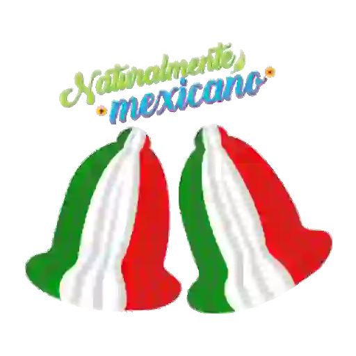 Viva México Mov 28