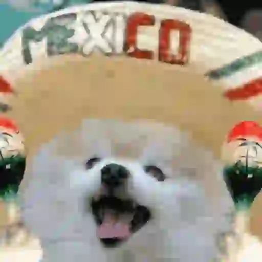 Viva México Mov 3