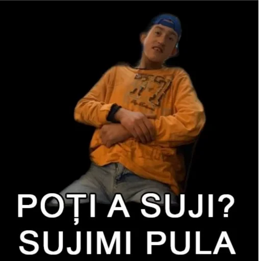 Brat sorin 12