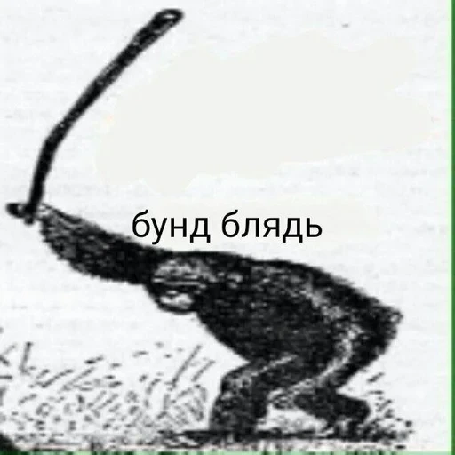 /new by 24