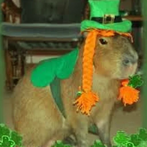 Capybara Are My Life 9