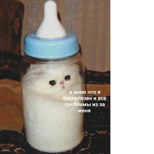 Cat Quotes 29