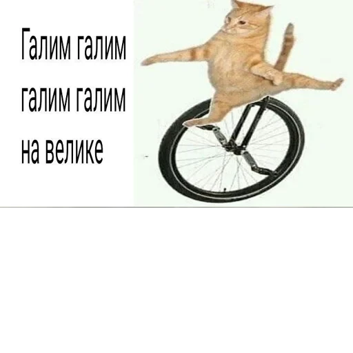 Cat Quotes 13