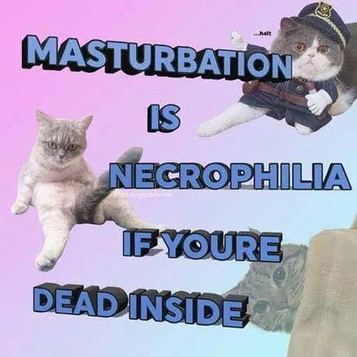 Cat Quotes 28