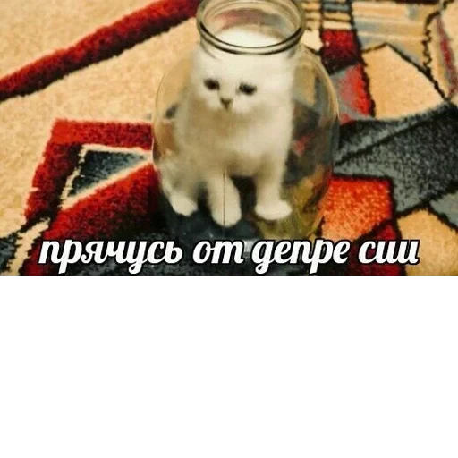 Cat Quotes 23