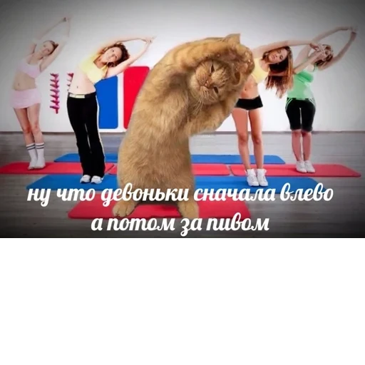 Cat Quotes 5
