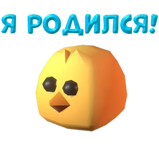 Chicken 8