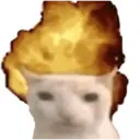 🐈GATO-s MEME-s🌐 7