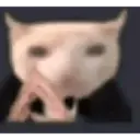 🐈GATO-s MEME-s🌐 9