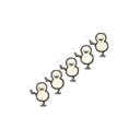 Mini Ducks 🤏🦆 MOV 9