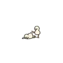 Mini Ducks 🤏🦆 MOV 17