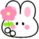 Summer bunny emojis🐰🌴 MOV 12