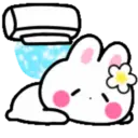 Cute summer bunny 2🏖🐰 MOV 17
