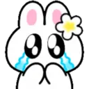 Cute summer bunny 2🏖🐰 MOV 16