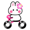 Cute summer bunny 2🏖🐰 MOV 9